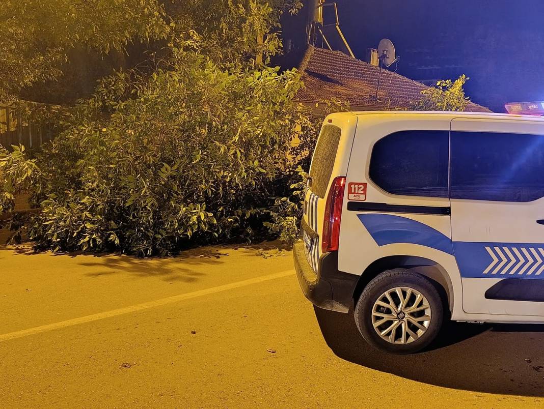 Konya'nın ilçesinde ağacın dalları yola devrildi! Yol trafiğe kapandı 3